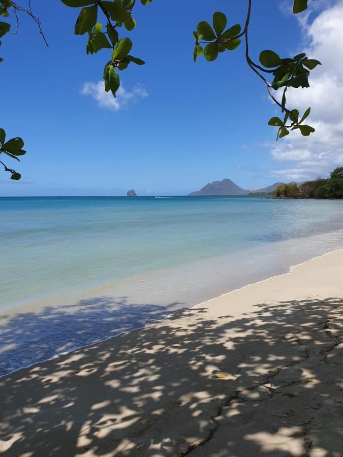 Ste Luce, N° 11 Appart -300M Plage De Mabouyas Corps de Garde Buitenkant foto